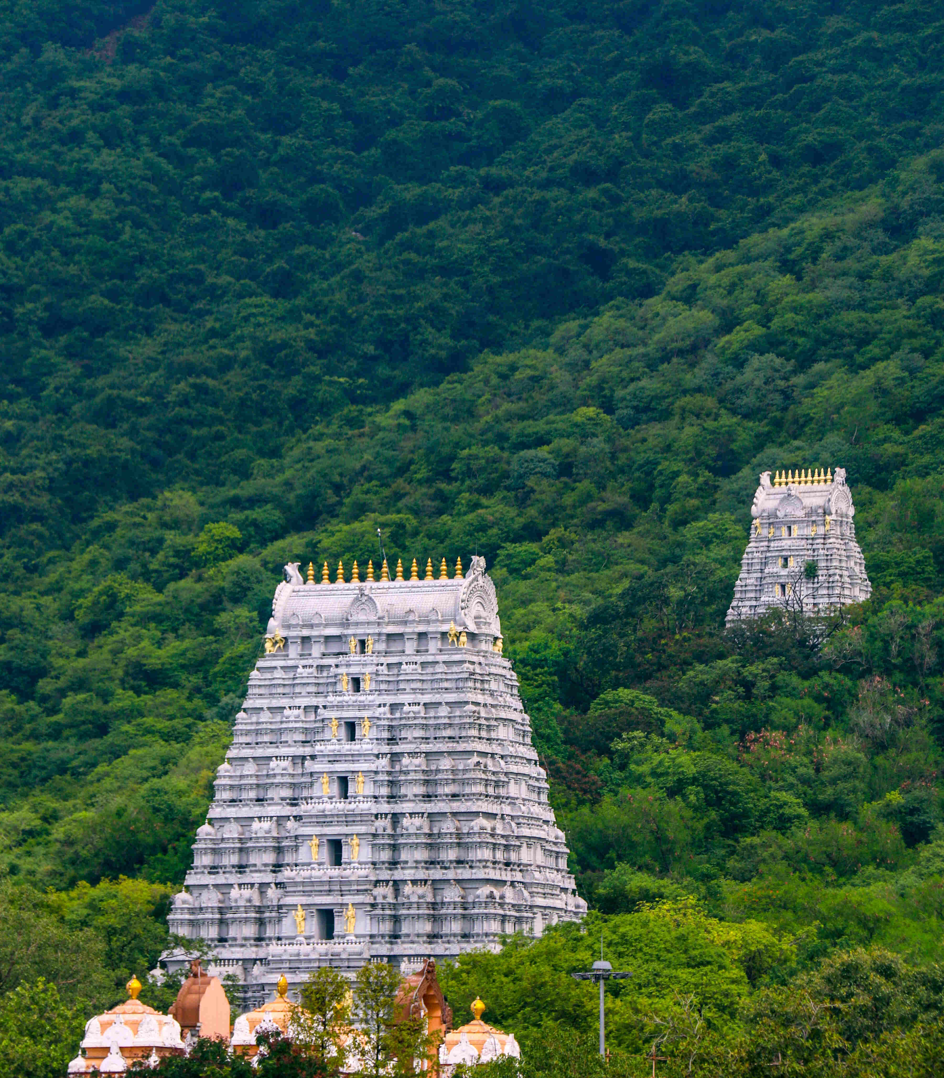About Tirupati Easy Trips