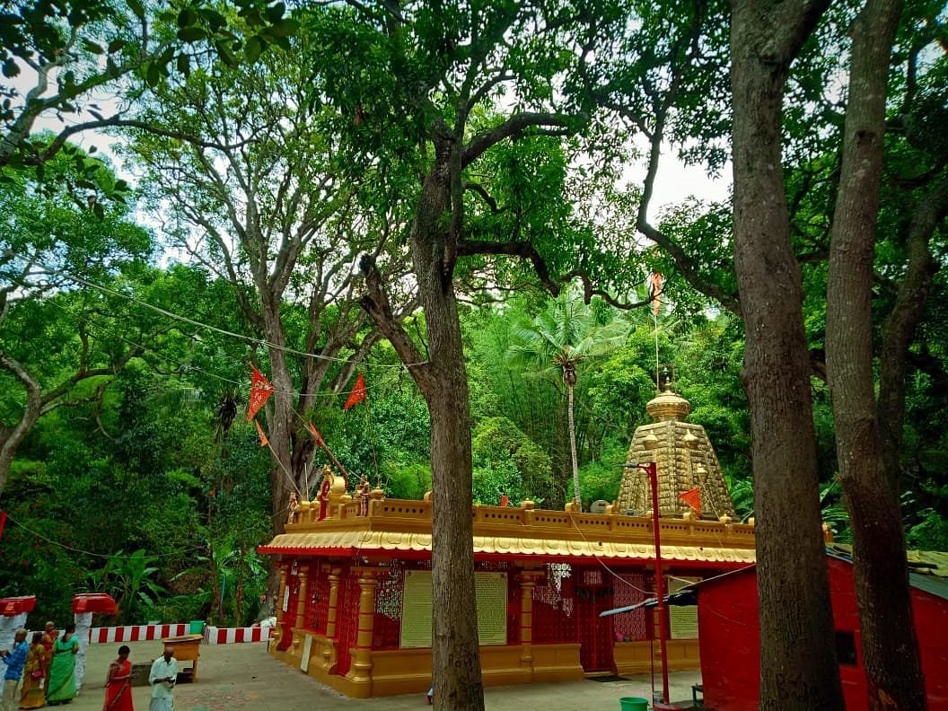 Package Image
